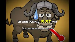 The Buffalo Blues 🇹🇭🐃 