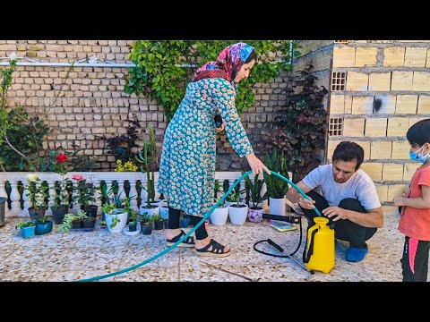 spraying ornamental flowers and trees:Exploring Iran's Nomadic Lifestyle,daily village life