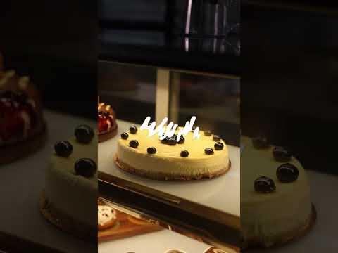 We don't need solutions to our problems, we just need cheesecake. 🍰😋 | #cheesecake #DessertGoals