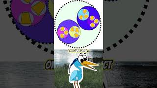 What are Bounding Volume Hierarchies?