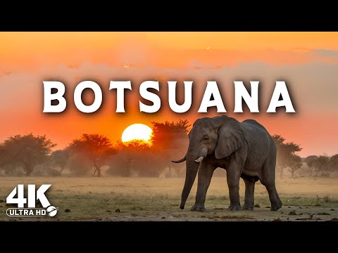 Wonders of Botswana | The best places in Botswana | 4K travel video