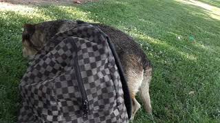 GANGSTALKING BEEN WITH 18WHEELERS THEY ARE ARABS