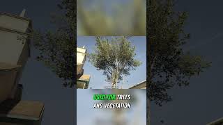 Stunning Ray Tracing: Game Optimization