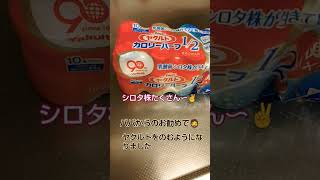 ヤクルト✨⤴️
