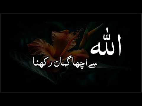 Allah Se Acha Guman Rakho | Har Mushkil Mein Sukoon Ka Raaz | Islamic Bayan #trustinAllah