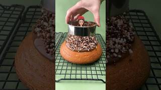 #cake #cakedecorating #cakedesign #baking #food #shortvideo #pullmeupdollcake #funny #fragrance