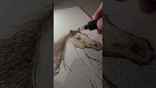 Pyrography Horse on Watercolor Paper #pyrography #art #texas #horse #artist #westernart