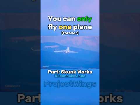 ONE PLANE for the rest of your life (skunk works)✈️✈️