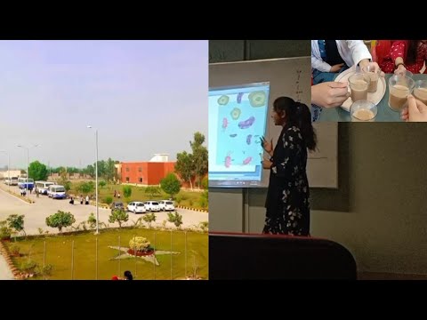 A Random Day At My University| Institute Of Pharmacy| SMBBMU Larkana