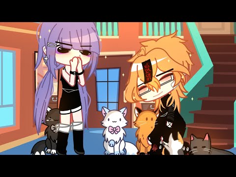 I have some cats at home🐈🧶🐾