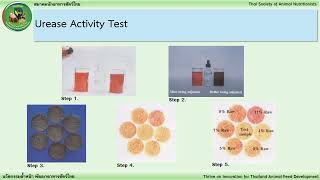 Raw and Overcook Soybean Meal Test (Urease activity test)