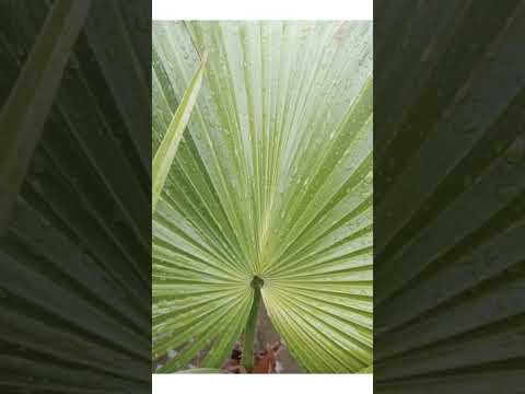 photo editing||#photoediting #foryou #shorts #edit