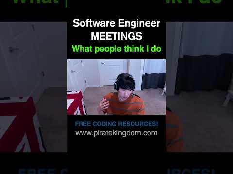 What people think I do VS What I actually do: Meeting