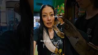 Beautiful BIG Pied BALL PYTHON #shorts #subscribe #animals