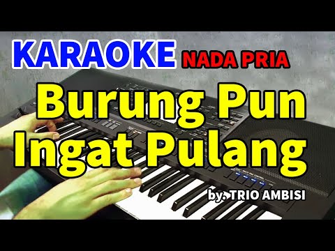 BURUNG PUN INGAT PULANG - Trio Ambisi | KARAOKE HD