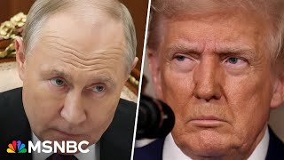 'Humiliated by Putin': Trump frustrated with Putin amid stalled peace negotiations