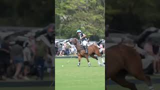 sports with elegant and classic elements#cuntryhumans #classic #sports
