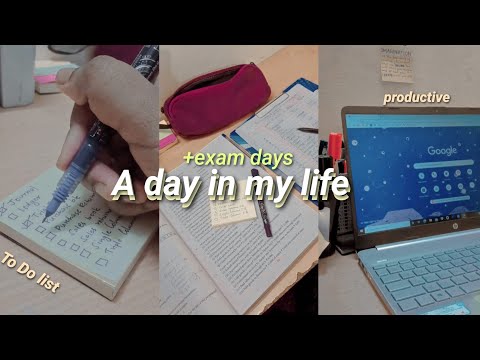 Preparing for Term 1 exams 📑 - Vlog 2/ Productive days in my life/ Study Vlog