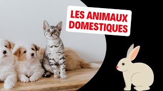 Les Animaux Domestiques de France