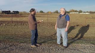 Livestock Marketing - Nov. 16, 2024