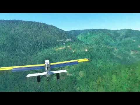 DoubleEnder | Bugalaga to Homeyo Airstrip | Quest 2 | MSFS 2020