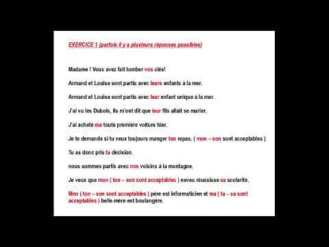 Chapitre 20 : les adjectifs possessifs