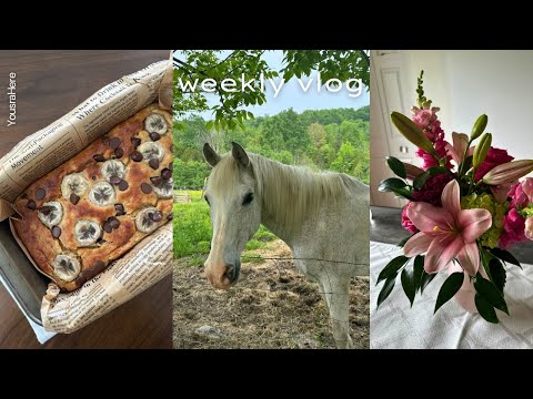 hello summer 💛| weekly vlog