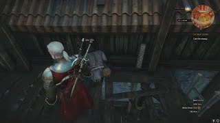 The most intense chase in Witcher 3