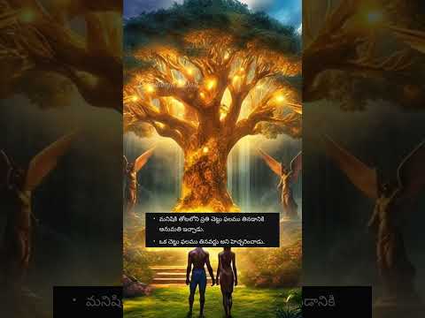 ఆదికాండము 2 - Genesis Chapter 2 Story InShort #teluguchristianstories #teluguchristianmessages