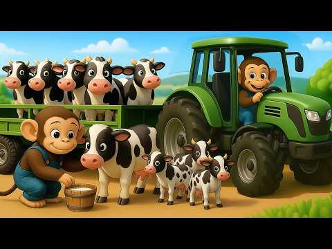 Monkey Funny Fixes Tractor and Plows Beet Field - Farm Work | MonKey Cartoon 🐒