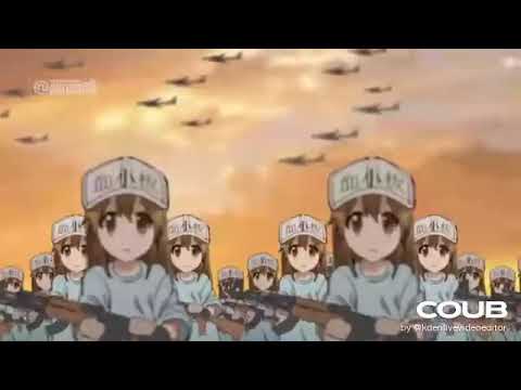 Platelets
