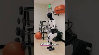 Tesla Bot: $175,000 Robot Butler?