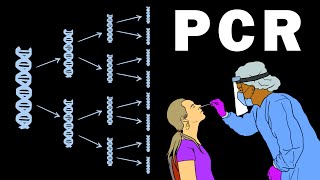 PCR - POLYMERASE CHAIN REACTION