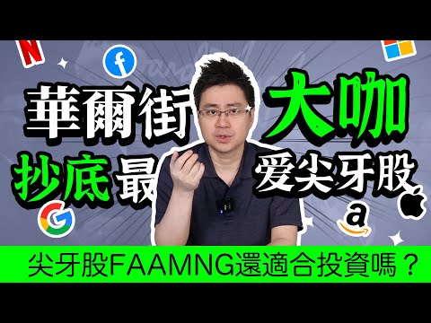 華爾街大咖抄底最愛尖牙股，尖牙股FAAMNG還適合投資嗎？善用券商的碎股功能，小資金也能賺大錢，讓我們一起賺美元！