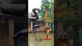 Barish Mein Vishal Naag Ka Hamla | VFX video!! #shorts #youtubeshorts #snake #vfx #animation #cobra
