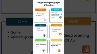 💻 Programming Languages & Their Uses | Quick Guide for Beginners 2025