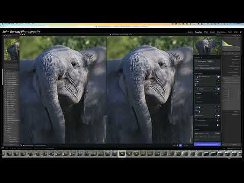 Topaz Photo AI overview and example