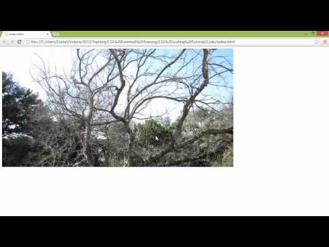 CSS Essential Training: background-size property