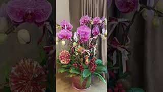 Beautiful Orchid flowers #beautiful #decorations #plantslover #orchidslover