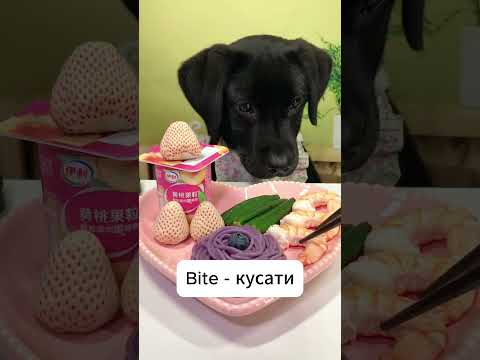 кілька секунд і ти знаєш нові слова #english #ieltsvocabularyenglish #learnenglish  #vocabulary