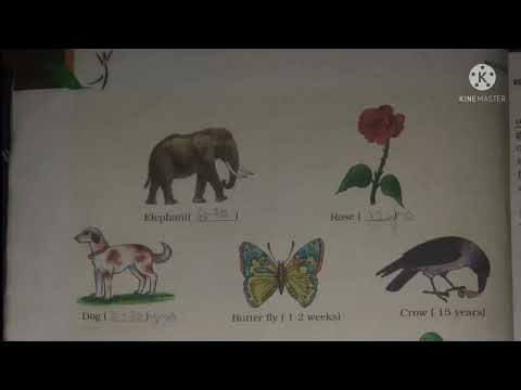 PART1 Introduction ch 1 (Reproduction in Organisms)CBSE/NEET