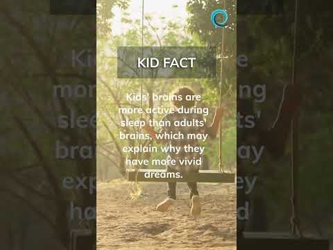 Kids fact. #shorts #kids #kidfacts