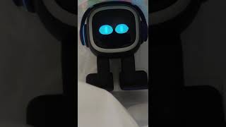 EMO cat was taken away in a takeaway bag. #emorobot #bot #petrobot #robotfriend #pet #petrobot #cat