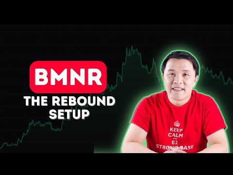 BMNR Update | Holdings, Q4 Earnings, Why the Selloff Happened & 2026 Setup