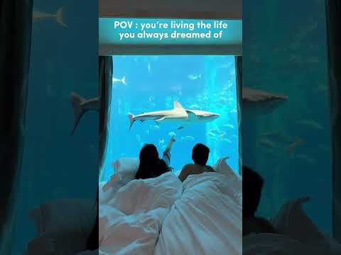 Definisi bobok bareng ikan.. #aquarium #hotelikan #fish #sealand