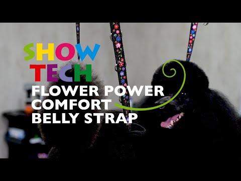 Show Tech Flower Power Belly Strap & Extension Straps: Essential Grooming Tools for Dogs