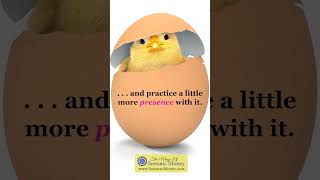 NEED A MONEY BREAKTHROUGH? #money #moneyminded #embodiedmoney #personalfinance #moneywisdom