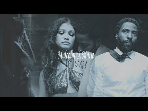 Malcolm & Marie || I'm Sorry
