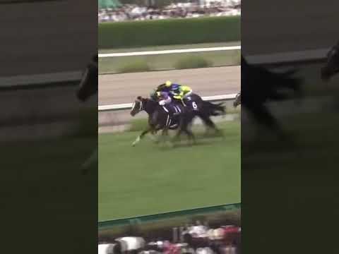 2005年　宝塚記念　スイープトウショウ