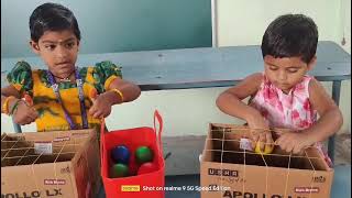"Sorting Game"or "Object sorting Activity" This game is to promote independence and confidence.